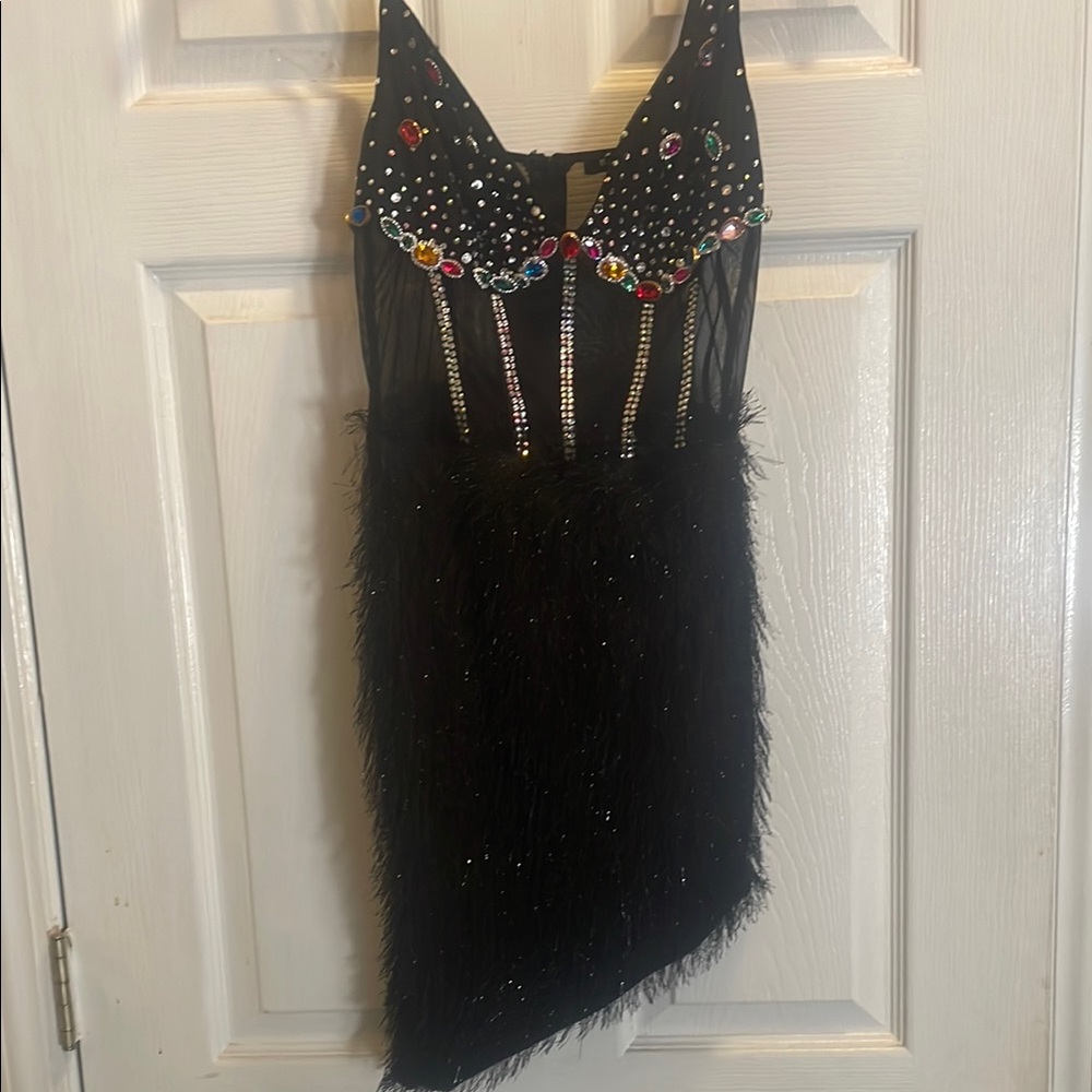 Black Beaded and Feathered Dress